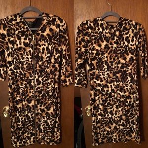 Leopard Print Dress